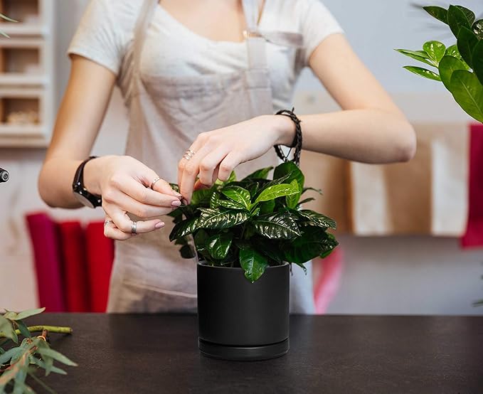 D'vine Dev Ceramic Planter Pot with Drainage Hole and Saucer, Indoor Cylinder Round Flower Pot, 4.6 Inch, Black, 94-O-B-2