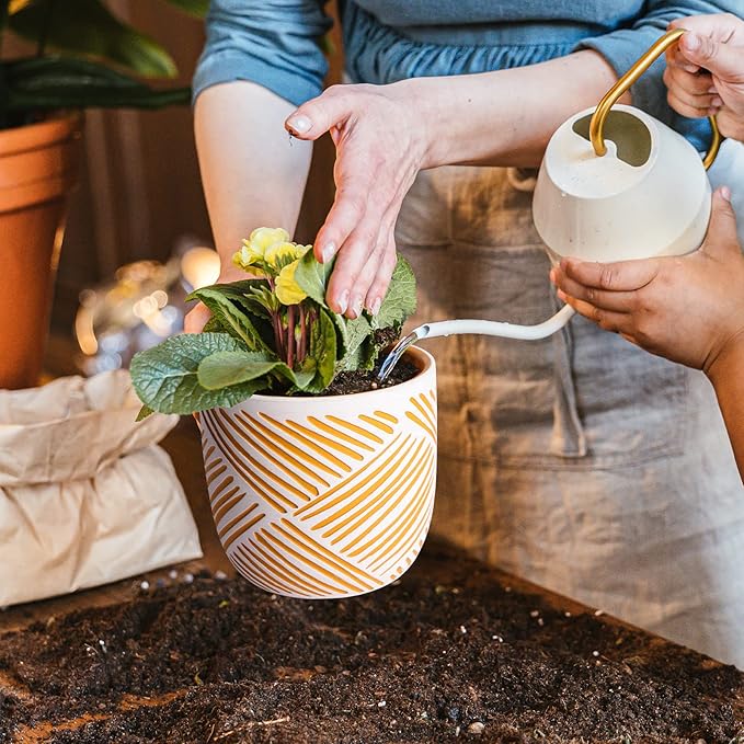 2 Boho Style Terra Cotta Pots, 6 Inch Yellow Plant Pots with Drainage Holes, Suitable for Indoor Plants Ferns,Vines, Succulents and Outdoor Plants Growing, a Gift for Plant Lovers