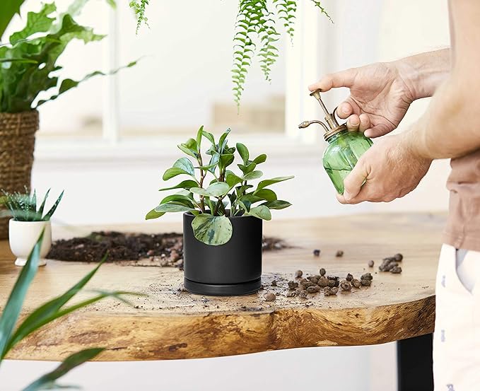 D'vine Dev Set of 2 Plants Pot, 4.6 Inch Ceramic Planter Pot for Plants with Drainage Hole and Saucer, Black, 94-V-B-2