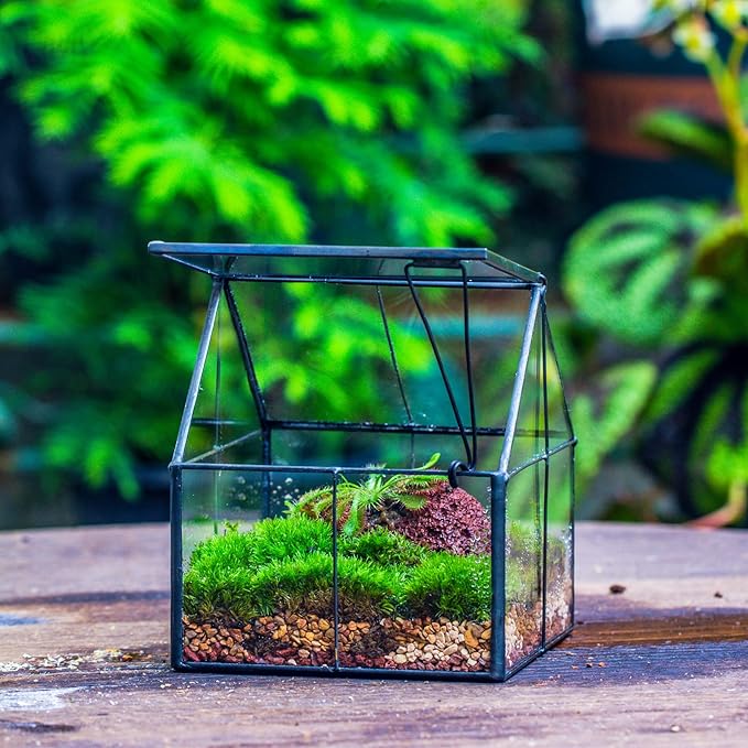 NCYP Mini Glass Geometric Terrarium with Lid - 4.25" x 4.25" x 4.92" Small House Shape Close Planter Pot for Succulents Plant - Handmade, Home Garden Office Tabletop Decor, Black (Terrarium Only)