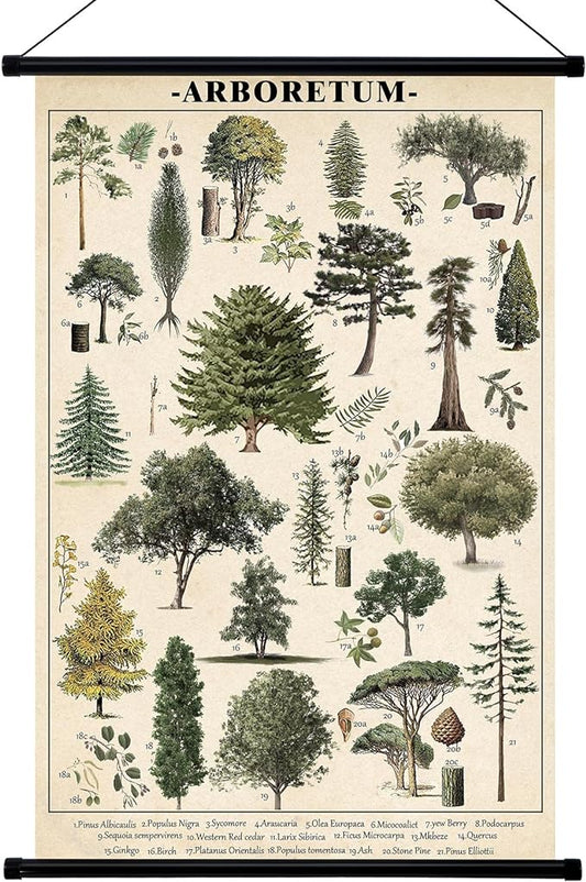 Geyee Tree Vintage Poster Wall decor Mallard Ducks Hunting Art Knowledge by Geyee