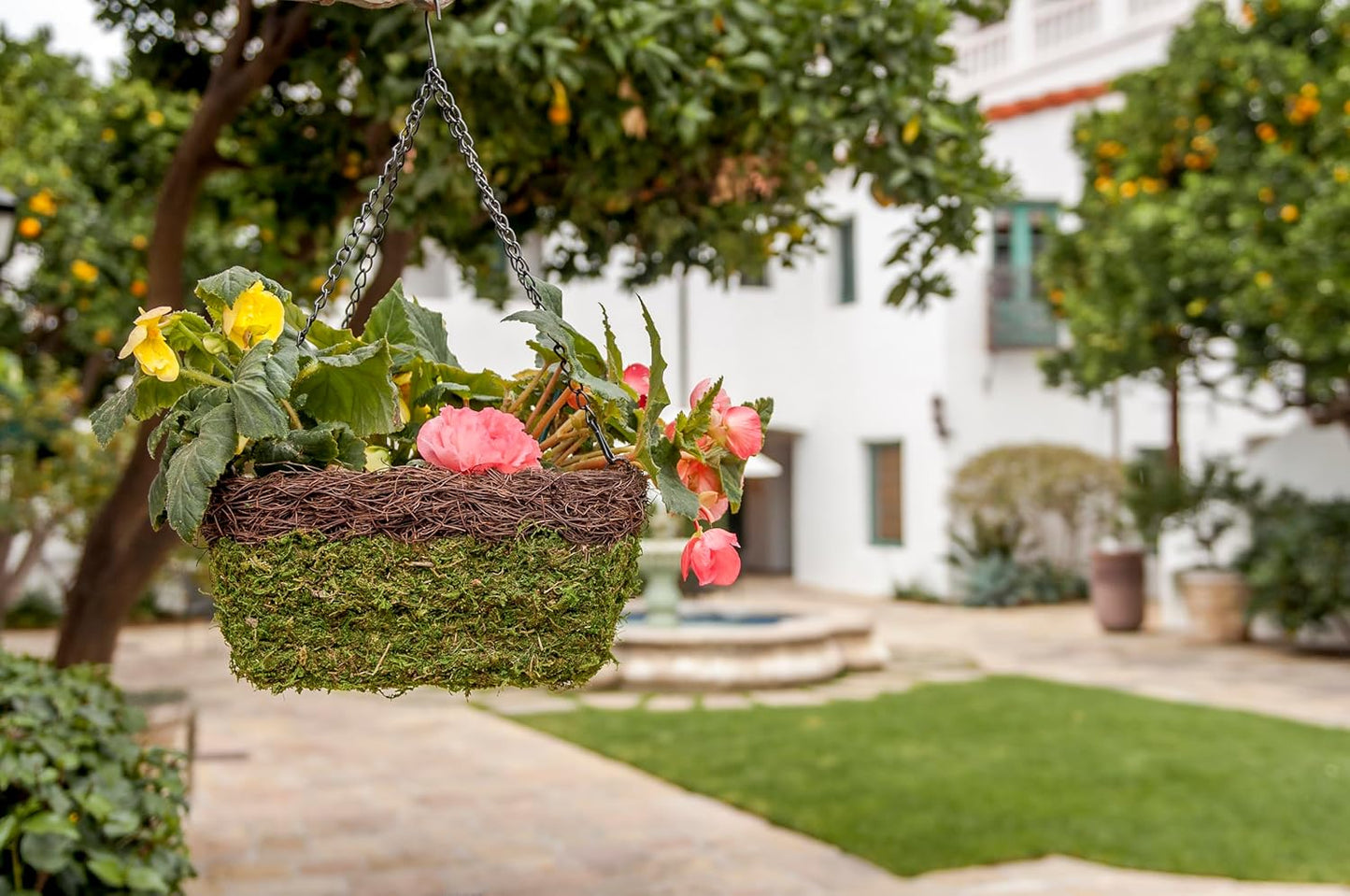 SuperMoss (29327 MossWeave Hanging Basket | Outdoor Hanging Planter with Moss | Decorative Plant Hanger for Porch, Balcony, Garden & Home Décor, Square with Wicker Rim, Set of 3 (S/M/L), Green