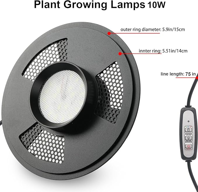 Desktop Glass Plant Terrarium with Grow Light (H:9.8" D:5.9"), for Succulent, Moss, Miniature Gardening Landscape, Betta Fish Tank, Indoor Plant Growth, Office Home Decoration, Plant Lovers Gifts