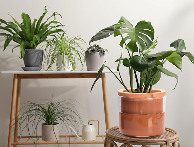 Phoenix Vine 8 Inch Self Watering Planter Pots, Design White Terracotta Pots for Plants, Indoor Cylinder Terra Cotta Pots with Glass Vase, Set of 1, 51-A-H-1