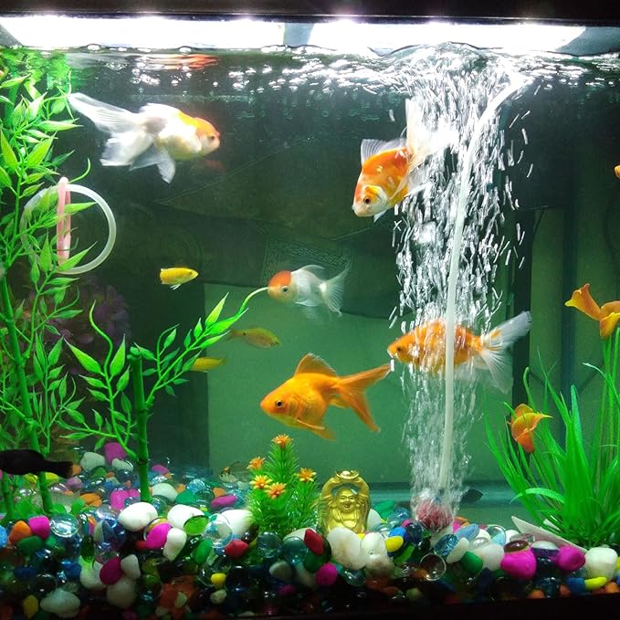 1/4" x 3/8" Braided Clear Plastic PVC Tubing 10ft High Pressure Flexible Reinforced Vinyl Tube, [for Garden Irrigation, Water Hose, Fish Tank, Water Transfer] - 6.4x9.5mm