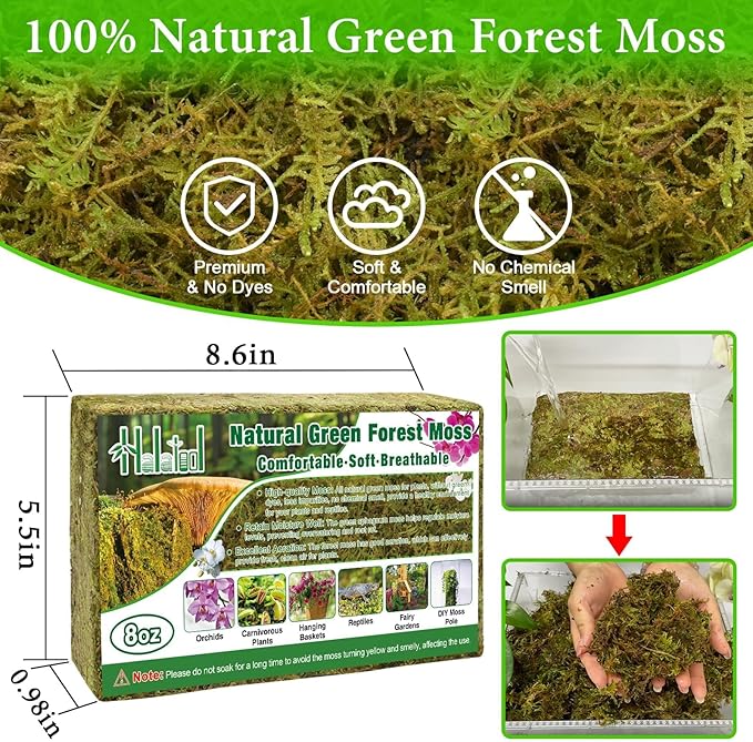 Halatool 8OZ Green Forest Moss- 12QT Natural Sphagnum Moss for Plants Fluffy Orchid Moss for Orchids Repotting Dried Plant Moss for Potted Plants Indoor & Outdoor