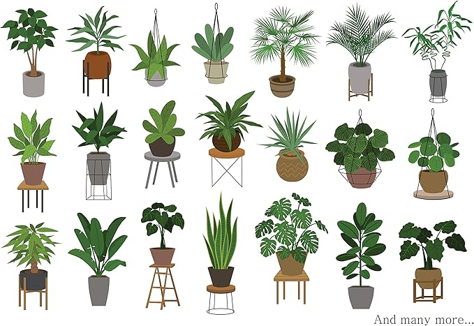 Indoor Plant Food | All-purpose House Plant Fertilizer | Liquid Common Houseplant Fertilizers for Potted Planting Soil | by Aquatic Arts