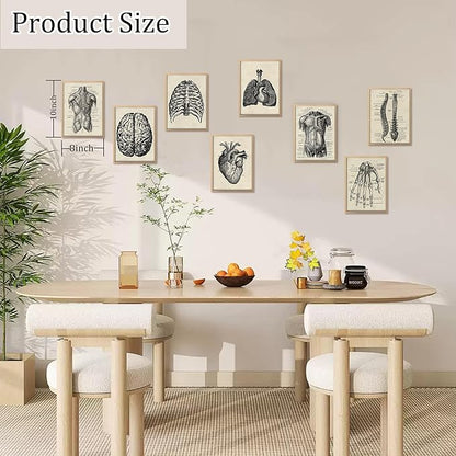 Ohhvvow Human Anatomy Artwork Medical Wall Art Canvas, 8 * 10 Inch Muscle - Image 2