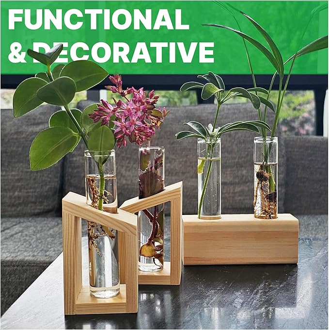 Plant Propagation Station - 3-Piece Wooden Stand with 4 Glass Test Tubes, Terrarium Vases for Plants, Hydroponic Propagation Planter for Home office Decor, Plant Lover Gift.