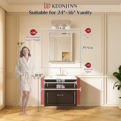 Keonjinn 24" x 30" Brushed Nickel Mirrors - Image 2