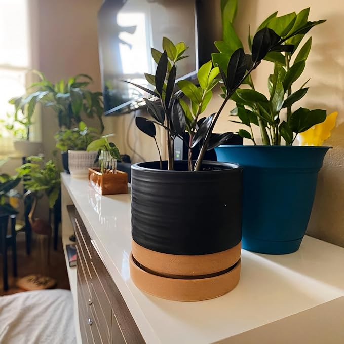 6 Inch Plant Pots, Ceramic Planter Pot with Drainage Hole & Saucer, Indoor/Outdoor Cylinder Round Planter Pot, Matte Black & Brown