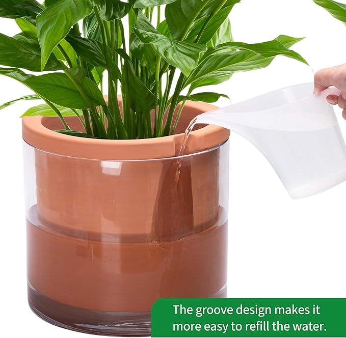 Phoenix Vine 10 Inch Self Watering Planter, White Terracotta Pot for Plants, Indoor Cylinder Terra Cotta Pot with Glass Vase