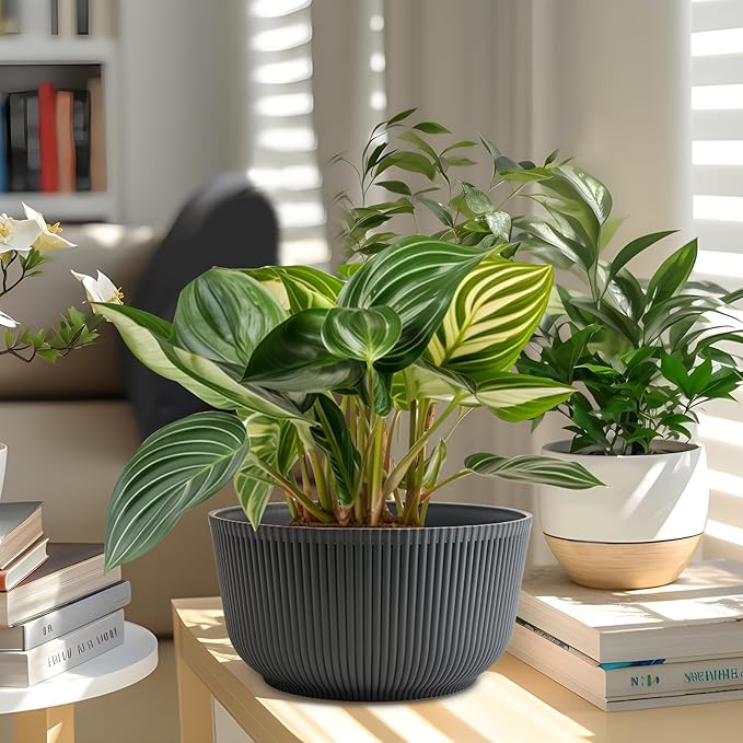 T4U 8 Inch Plant Pots, 2 Pack Self Watering Planter with Drainage Hole, Shallow Plant Pot Indoor, Home Decor Flower Pots for Plants, Cactus, Garden, Gray