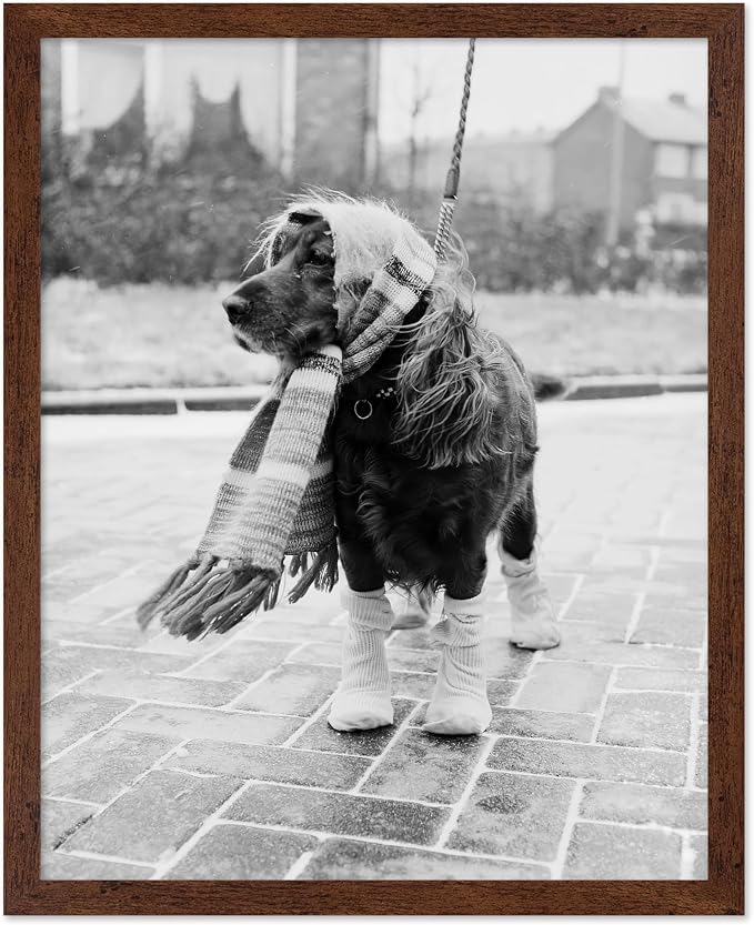Poster Master Dog Dressed for Winter Print by PosterMaster