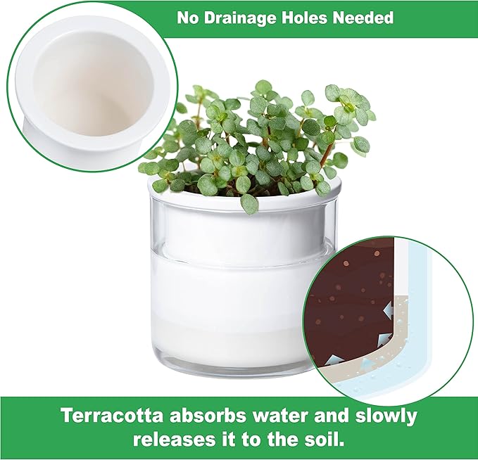 Phoenix Vine 4 Inch Self Watering Planter Pot, Design White Terracotta Pots for Plants, Indoor Cylinder Terra Cotta Pots with Glass Vase, Set of 1, 51-B-E-1