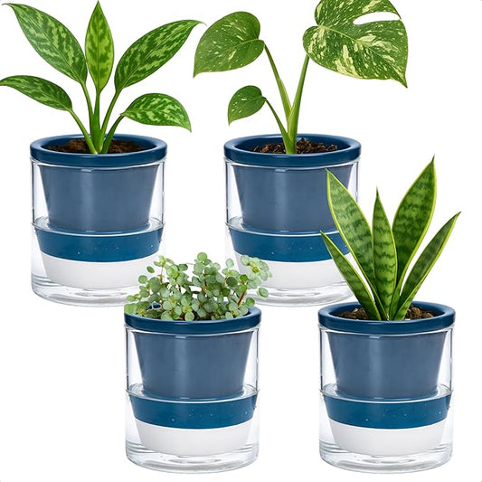 D'vine Dev 4 Inch Design Self Watering Planter for Indoor Plants, Blue Terracotta Pot with Cylinder Glass Cup, Set of 4, 37-Z-A-4-F