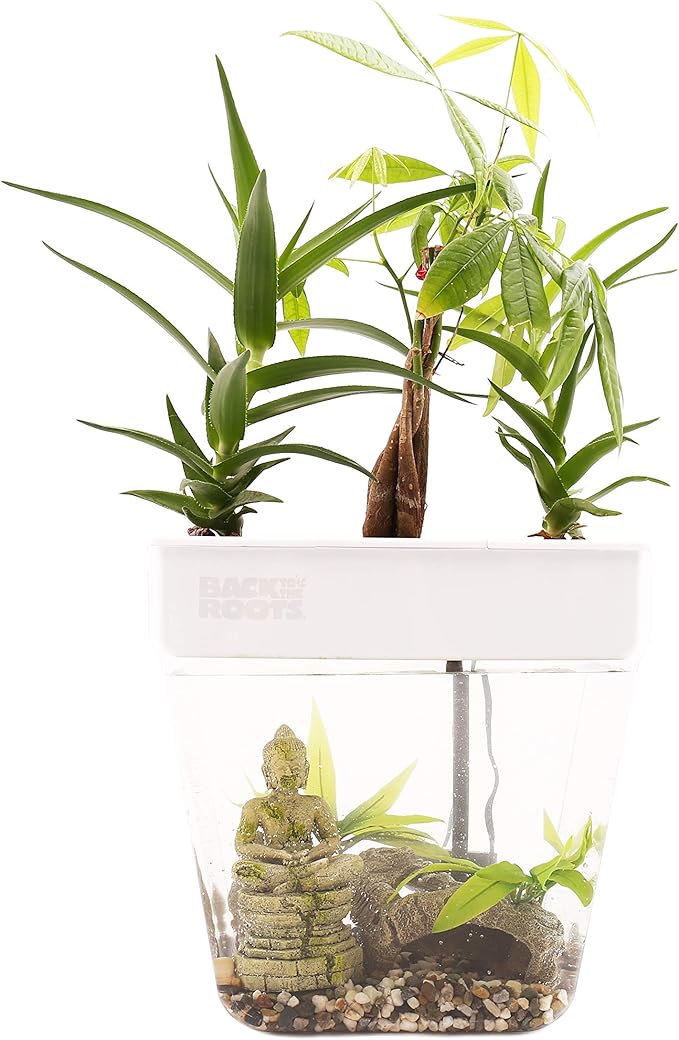 Back to the Roots Indoor Hydroponic Garden - 3 Gallon Self Watering, Mess-Free Planter for Herbs, Microgreens, Bamboo, Succulents, and Houseplants, Green