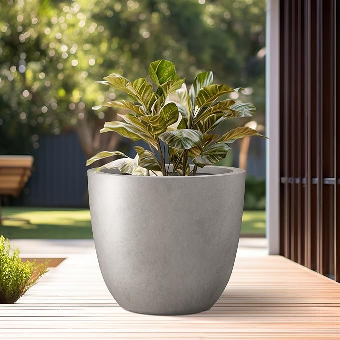 Kante 10 Inch Dia Round Concrete Planter, Indoor Outdoor Large Plant Pot with Drainage Hole and Rubber Plug for Home Patio Garden, Buff Concrete