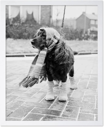 Poster Master Dog Dressed for Winter Print by PosterMaster