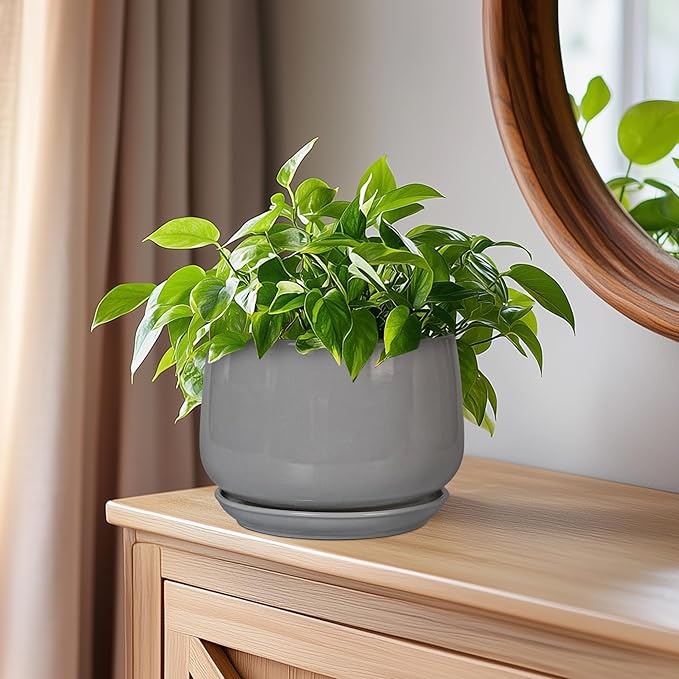 G EPGardening Ceramic Pot for Plants - Modern 6 Inch Round Planter Indoor with Drainage and Tray for Indoor Outdoor Flower, Patio Decor, Teacher Gifts, Grey