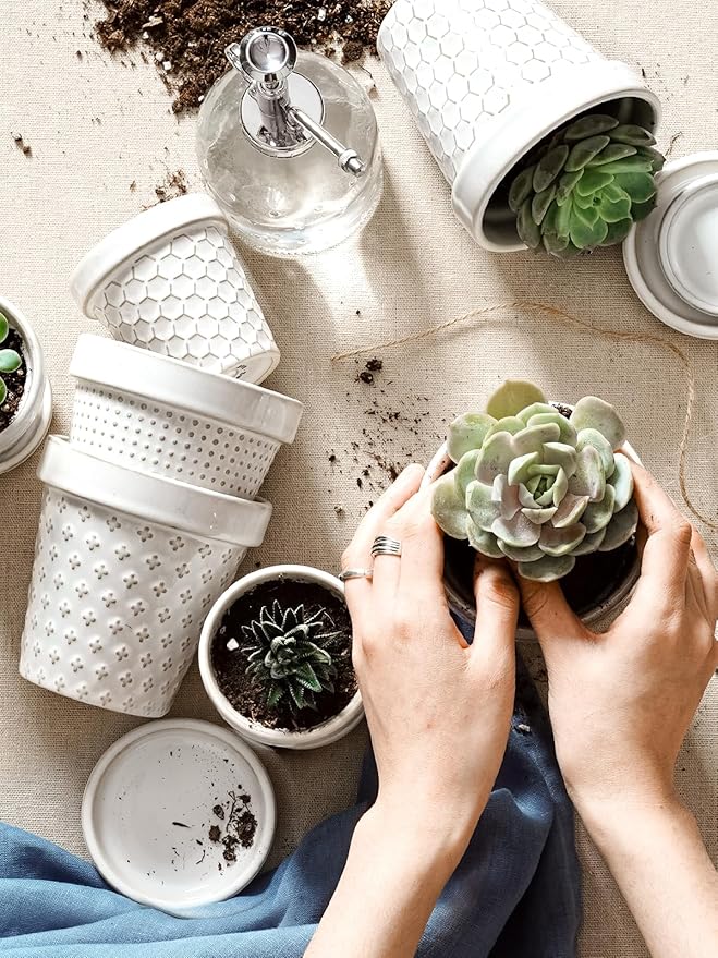 LE TAUCI Ceramic Succulent Pots, 3 Inch Mini Flower Pots for Indoor Plant Cactus, Embossed Small Plant Pot with Drainage Hole & Saucer, Home Decor - Set of 4, Arctic White