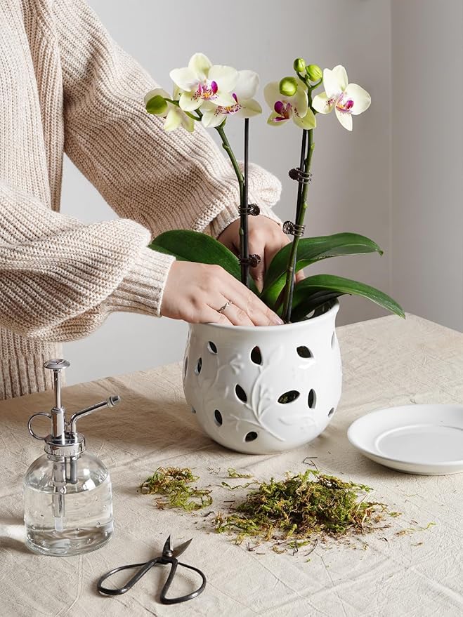 LE TAUCI Ceramic Orchid Pot, 6.5 Inch Orchid Pots with Holes, Orchid Planter for Repotting, Indoor Flower Plant Pot with Drainage and Saucer, White