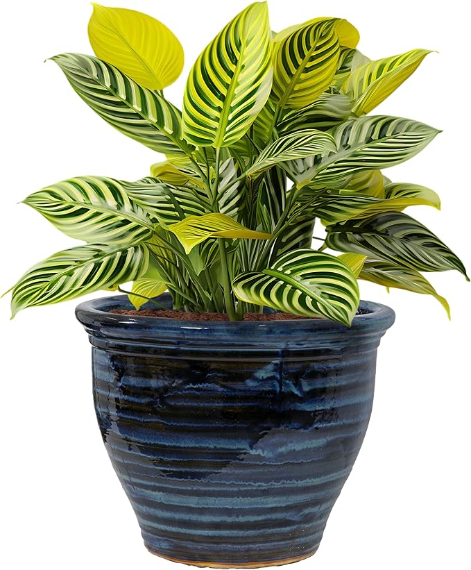 Sunnydaze Studio Large Ceramic Plant Pot - Round Outdoor Glazed Ceramic Planter Pot with Drainage - Galaxy Blue - 18.5"