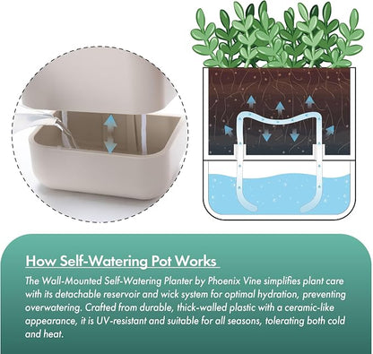 Phoenix Vine 6.5 Inch Wall Mounted Self-Watering Planter Pot - Image 5