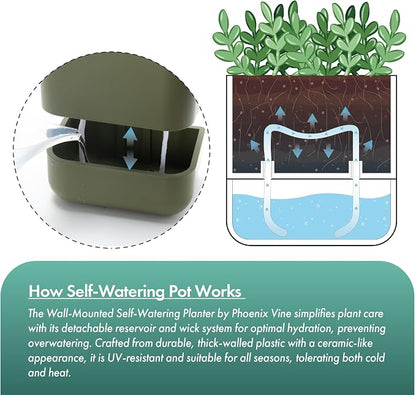 Phoenix Vine 6.5 Inch Wall Mounted Self-Watering Planter Pot - Image 5