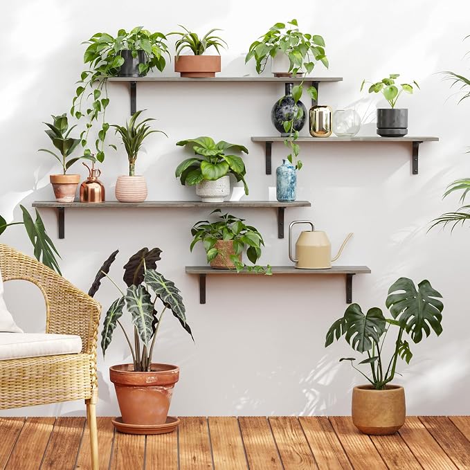 DINZI LVJ Long Wall Shelves, 31.5 Inch Wall Mounted Shelves Set of 2, - Image 7