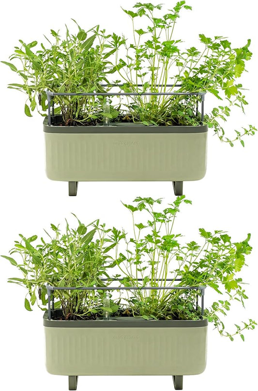 Vego Garden 2 Pack Herb Indoor Plant Box, Self Watering Planters Pots with Trellis for Kitchen Window Sill or Countertop Plants Cage - Sage Green
