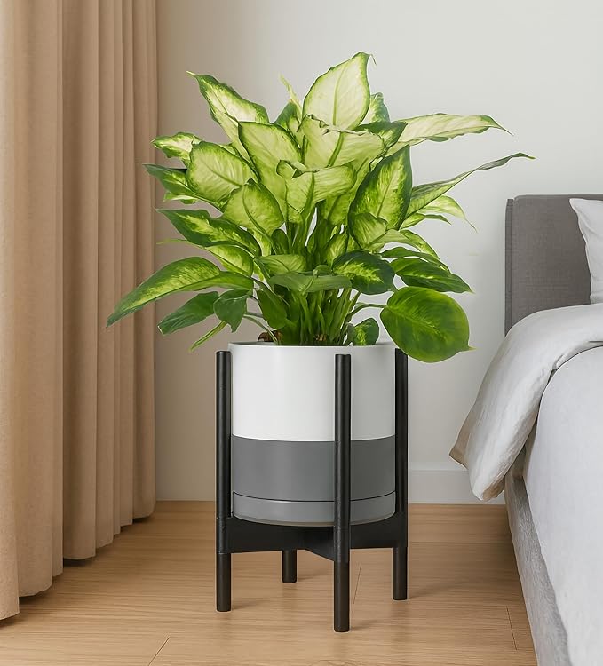 D'vine Dev Ceramic Planter with Ebony Stand - 10 Inch Modern Round Flower Pot with Wood Planter Holder, White/Grey, 55-B-L-6