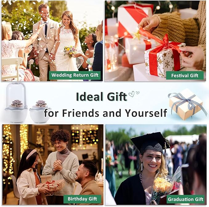 Smart Venus Fly Trap Terrarium Pot with Timer&Fan,Succulent Planter with Grow Light,Indoor Plant Pots Terrarium with Drainage Hole for Carnivorous Plants,Sundew Moss,Cactus(No Plant)