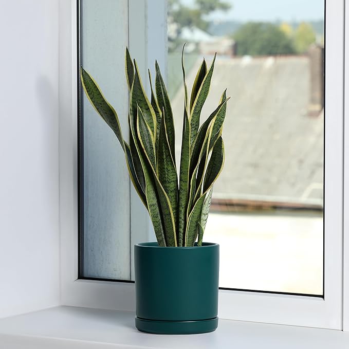 D'vine Dev 6 Inch & 8 Inch Ceramic Planter Pots for Plants with Drainage Hole and Saucer, Medium Plant Pots Set, Teal, 94-G-M-9