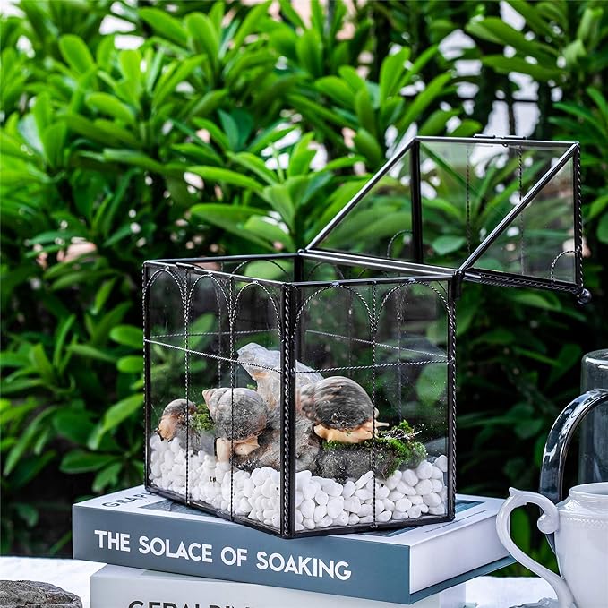 NCYP Black Glass Terrarium with Lid, Indoor Geometric Planter for Cacti, Air Plants, Succulents, Insect, Snail, House Shape Closed Box 7.5" x 4.9" x 9" (No Plant Included)