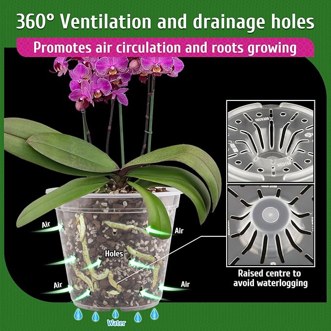 REMIAWY Orchid Pot, 6 Pack Orchid Pots with Holes, 5.5 Inch Clear Plastic Flower Planters for Repotting Indoor Outdoor, Breathable Slotted Nursery Planter