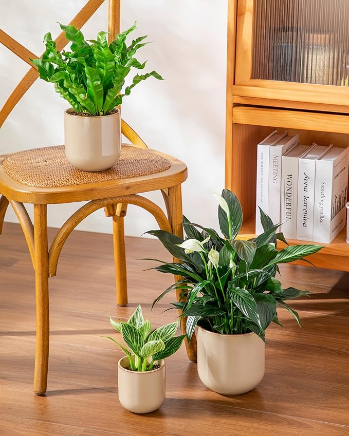 vancasso Ceramic Plant Pots, 4+5+6 inches, Set of 3, Planters with Drainage Hole, Flower Pots Planters Pots for Indoor Plants, Modern Indoor Decorative Garden Pot, Home Decor, Brown