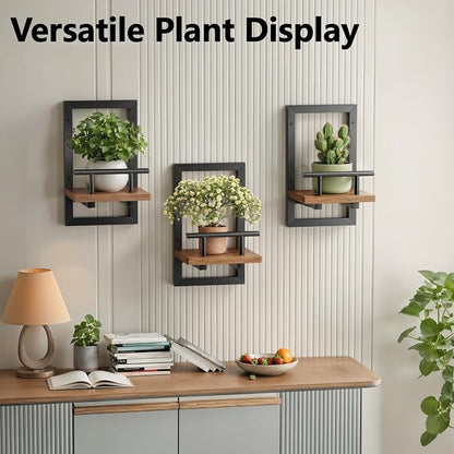 Sbosbo Floating Shelves for Wall, Plant Shelf Indoor, Wall Planters for Indoor - Image 6