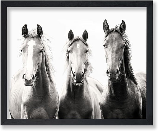 Poster Master Horse Poster by PosterMaster