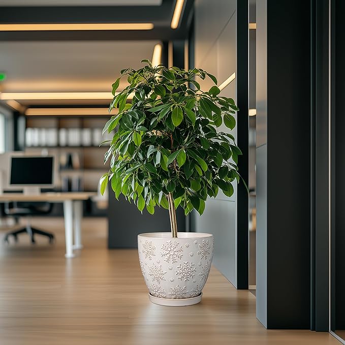 10 Inch Ceramic Planter Pot Large Plant Pot for Indoor Plants Outdoor Round Flower Pot with Drainage Hole and Saucer for Home Garden Decor White