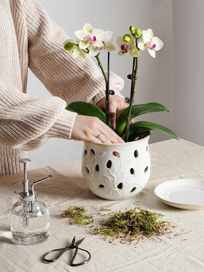 LE TAUCI Ceramic Orchid Pot, 6.5 Inch Orchid Pots with Holes, Orchid Planter for Repotting, Indoor Flower Plant Pot with Drainage and Saucer, Arctic White