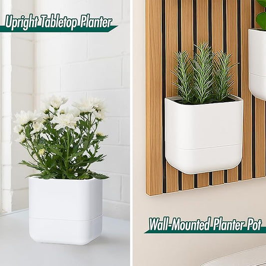Phoenix Vine 6.5 Inch Wall Mounted Self-Watering Planter Pot - Image 2