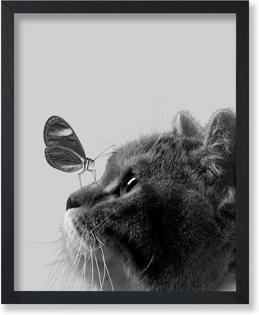 Poster Master Butterfly on Cat Print by PosterMaster