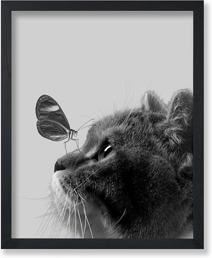 Poster Master Butterfly on Cat Print by PosterMaster