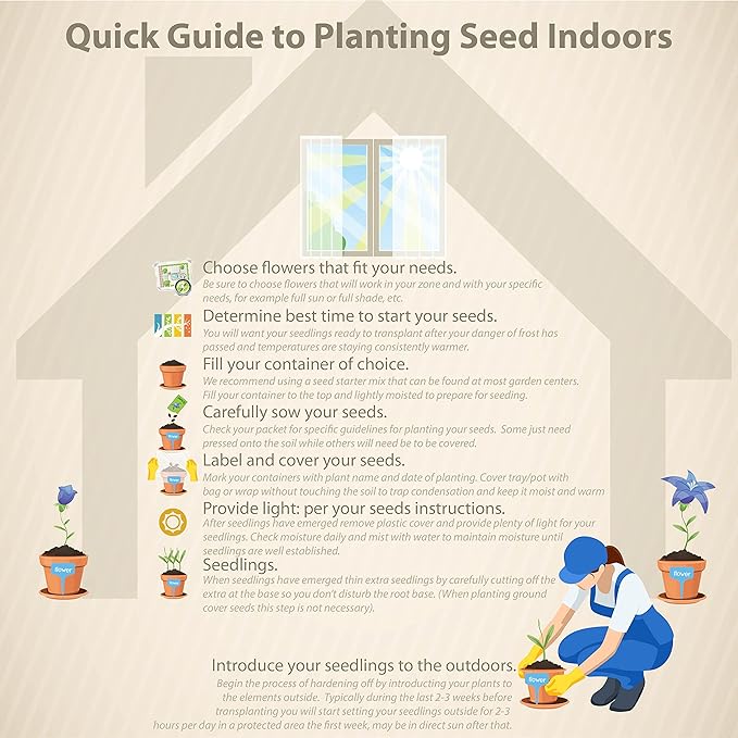 Outsidepride Black Mustard Seeds - 5000 Pcs Nutrient-Rich, Flavorful Annual Microgreen Seeds for Planting, Easy-to-Grow, Ideal for Indoor & Outdoor Cultivation, Soil & Hydroponic Systems