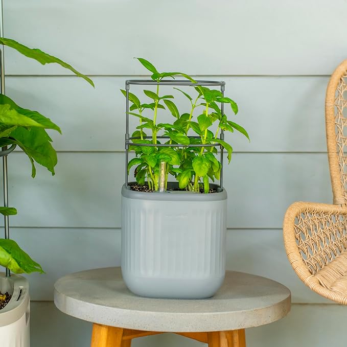Vego garden Mini Planter Indoor Pots with Trellis Self-Watering Herb Countertop Planter for Climbing Vegetables Flowers Mint Plants Cage- Fog Gray