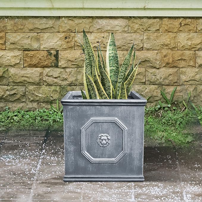 Kante Square Lion Head Concrete Planter, Classic English Style Plant Pot with Drainage Hole and Rubber Plug for Indoor Outdoor Garden Patio Home, 12.6"x12.6"x12.6" Antique Gray