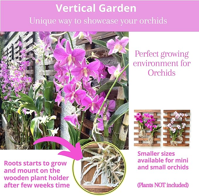 ShopLaLa Wall Planter - 2 Pack Wooden Hanging Planter for Indoor Plants Wall Mount Plant Stand Ladder Outdoor Vertical Garden Unique Live Orchid Planter Holder Display Large Wall Decor 23.6" (60cm)