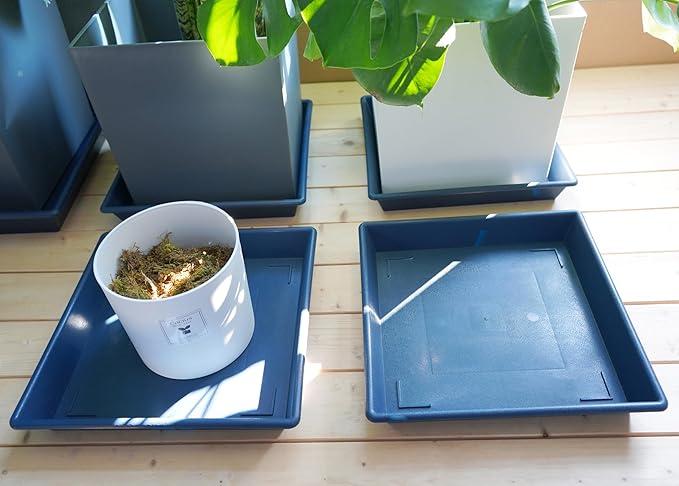 Square Plant Saucer 6 Inch 5 Pack6 8 12 14 16 18 20 Plant Trays for Pots, Flower Pot No Holes Plant Drip Trays,Heavy Duty Plastic Plant Saucers for Indoors Outdoors