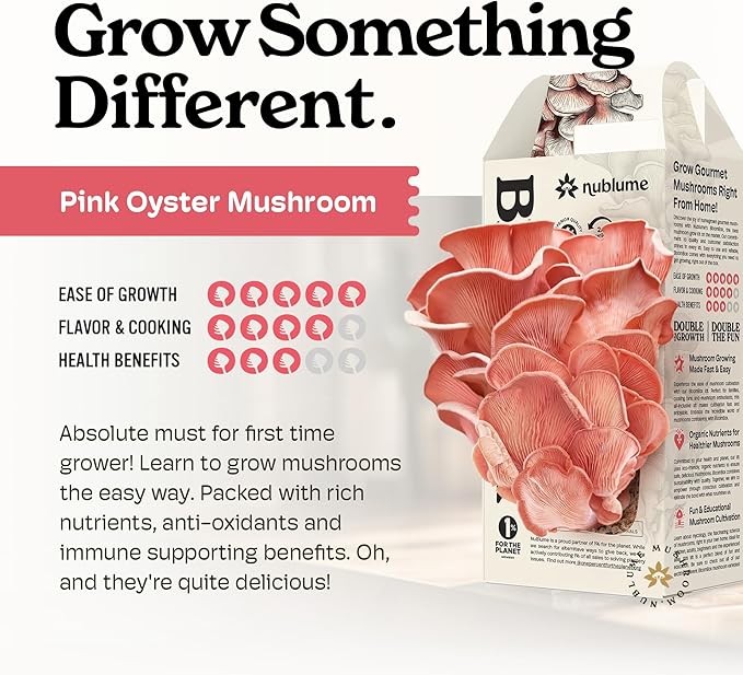 Pink Oyster Mushroom Grow Kit, Grow Your Own Fresh Gourmet Mushrooms at Home, Includes Instructions and Recipes (Pink Oyster)